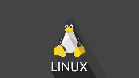 Курс Linux c нуля